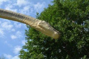 57